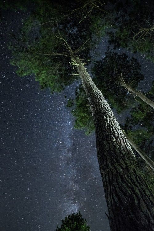 aestheticwabi's tweet photo. https://t.co/zCFuxBriC2