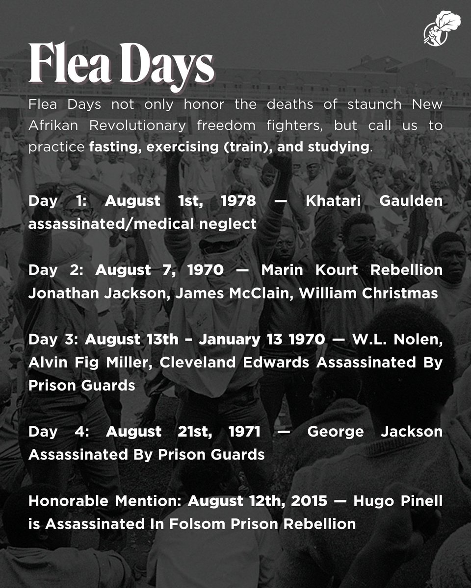 NBFJA's tweet photo. It’s the 45th Black August. Today, we join partners across the movement in commemorating, honoring, and dedicating ourselves to practice this month. #BlackAugust #45thBlackAugust https://t.co/A49Y7A06dl