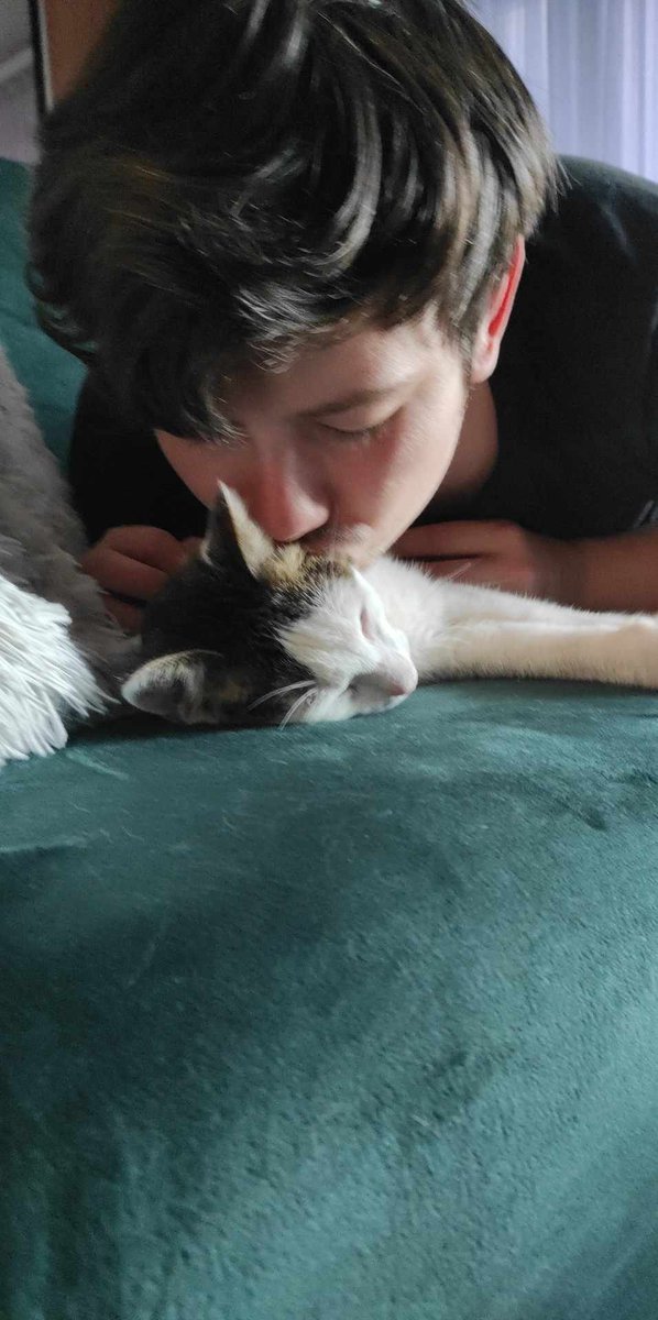 EdenIssue's tweet image. adopted a kitty