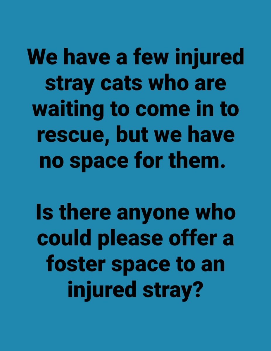 Cat Action Trust 1977 Leeds (@cat1977_leeds) on Twitter photo 