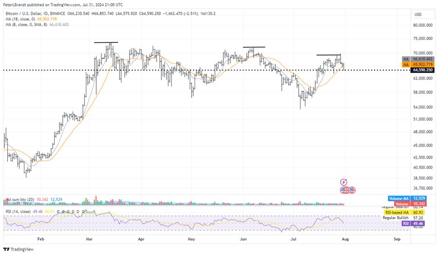 Bitcoin Daily Chart Peter Brandt