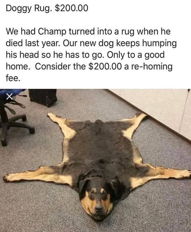 $RugDog tweet media