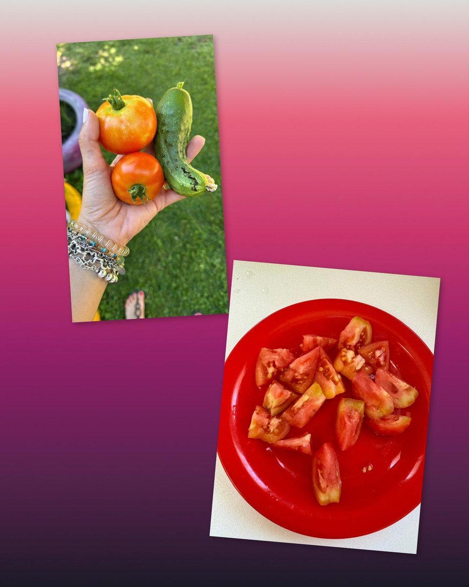 El huerto de la escuela da sus frutos.