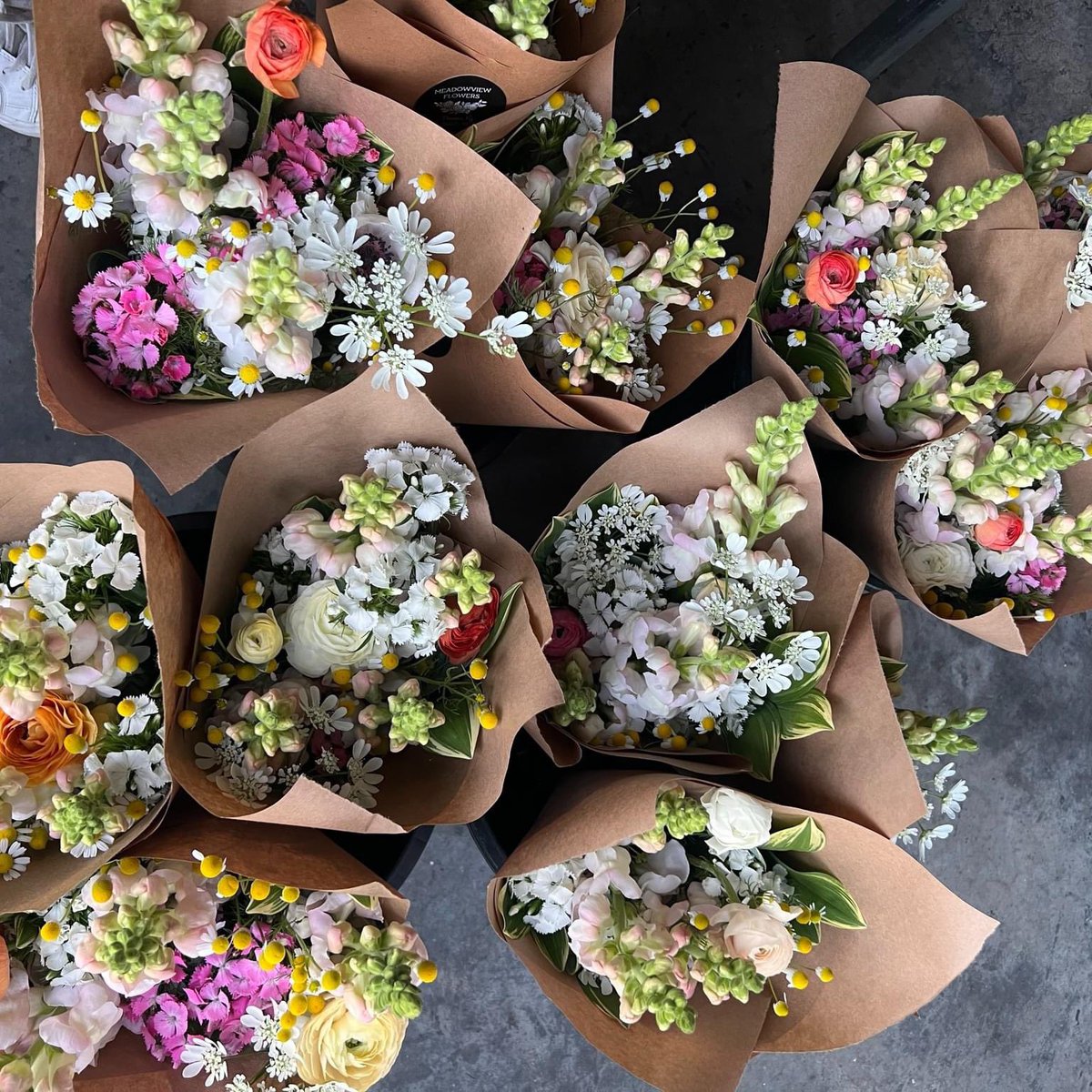 Head to Caldwell County to meet Sara and her farm, Meadowview Flowers!

You can find Meadowview Flowers on Instagram (@meadowviewflowers) or on their website: meadowviewflowers.com.

#KYGrownCutFlowers #KYGrownCutFlowerMonth #KYFlowerFarmer #LocalFlowers #farmerflorist