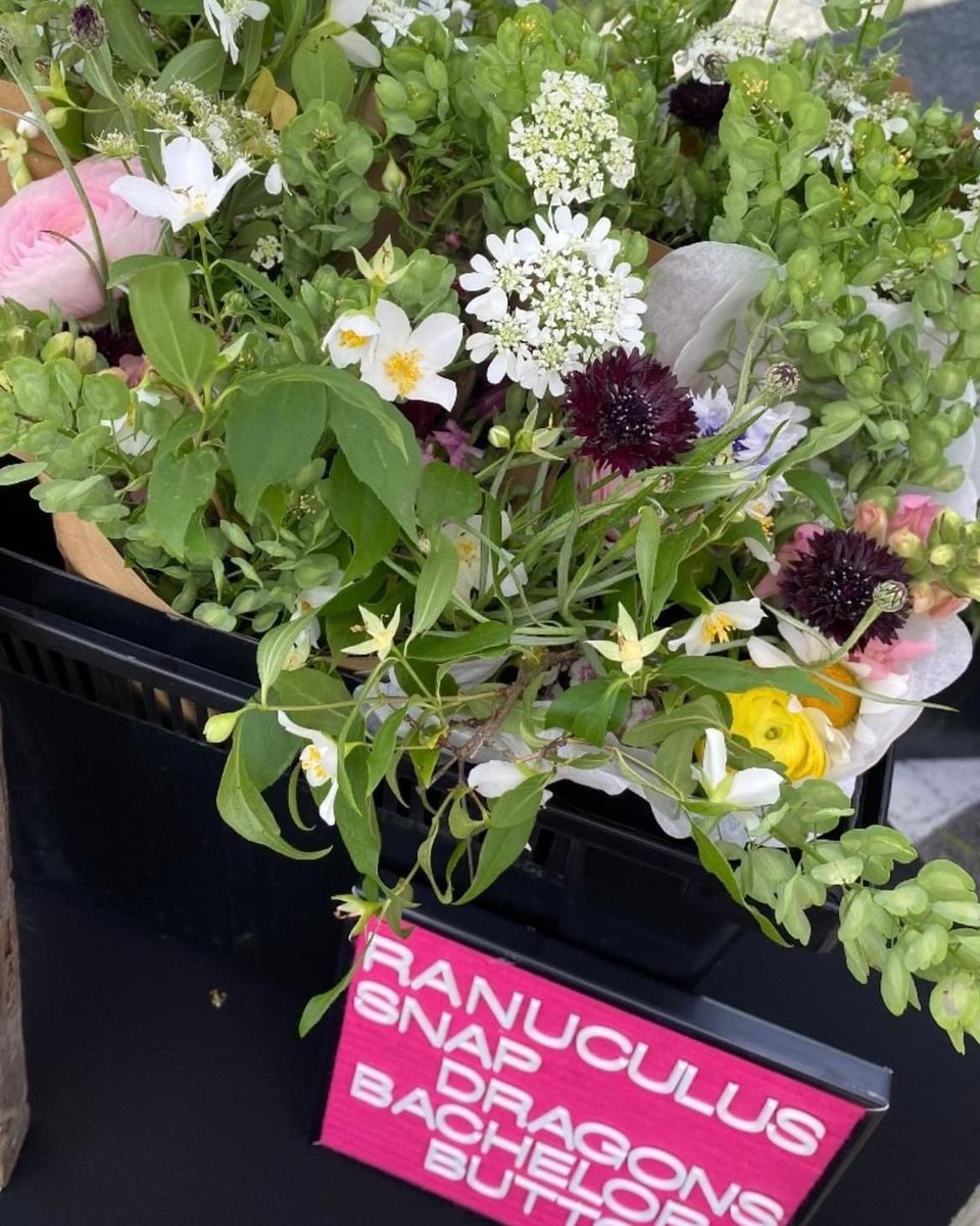 Introducing Fika Acres Farm in Wilmore, KY. 

Follow Fika Acres Farm on TikTok and Instagram at @fikaacresfarm as well as on Facebook and their website: fikaacresfarm.com.

#KYGrownCutFlowers #KYGrownCutFlowerMonth #KYFlowerFarmer #LocalFlowers #farmerflorist