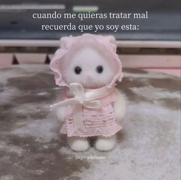Andrea 🌹 tweet media