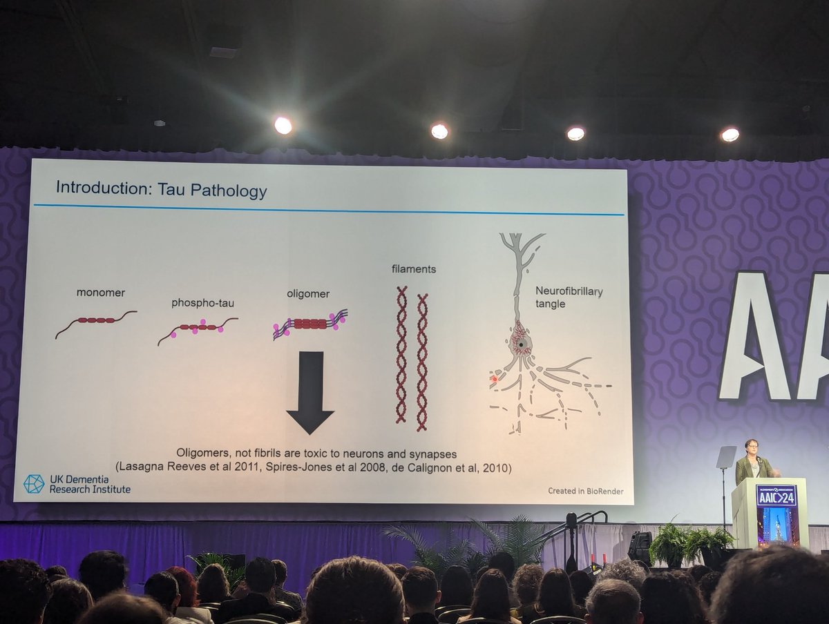 Alifiya Kapasi (@alifkapasi1) on Twitter photo What a wonderful plenary session <a href="/TSpiresJones/">Prof Tara Spires-Jones</a> and thank you for taking us on a virtual experiment tour! #AAIC2024 #tau What a wonderful plenary session <a href="/TSpiresJones/">Prof Tara Spires-Jones</a> and thank you for taking us on a virtual experiment tour! #AAIC2024 #tau