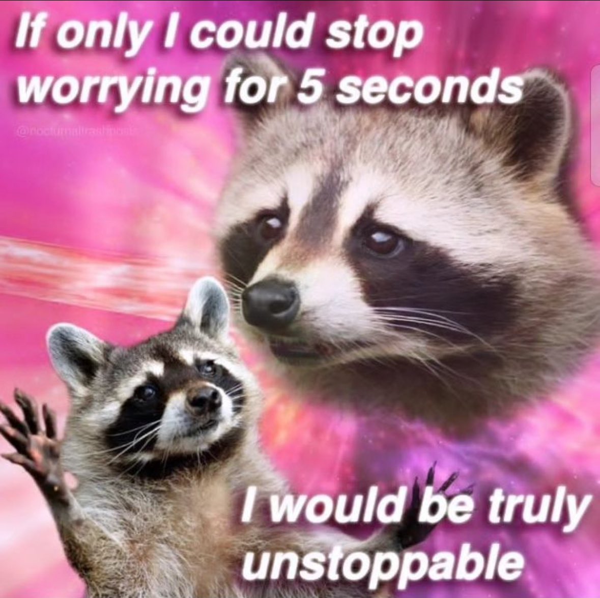 raccoon aesthetic. tweet media