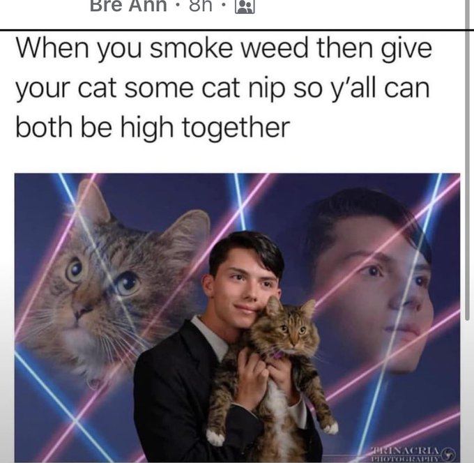 😂 https://t.co/8W9qkTMzt3<a href="/tag/adhd"class="tags"><span>#adhd</span></a>