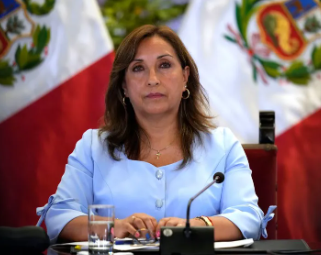 SebastianRochaZ's tweet photo. La Presidenta de Perú , Dina Boluarte, fue la primera en romper relaciones con la narco dictadura de Maduro, una vez ratificado el fraude.

Y la primera en reconocer al Pdte electo, Edmundo González.

Mis respetos al Perú, un gobierno serio.👍 https://t.co/myagaaCEbq