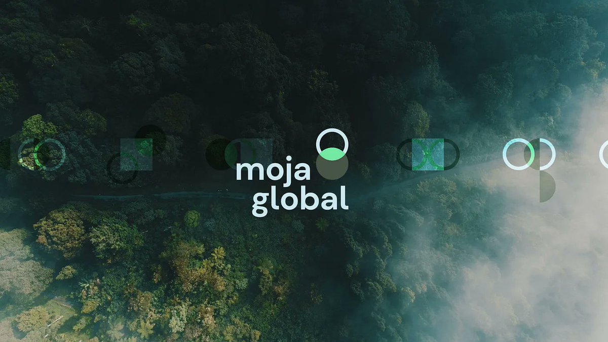 Meet Siziwe Lupondo 1 of our incredible <a href="/outreachy/">Outreachy Internships</a>  interns! She's working on #opensource projects to support land use and forestry projects, combining her tech skills with her passion for environmental sustainability. Read more about her work here: medium.com/@SiziweL/my-in…