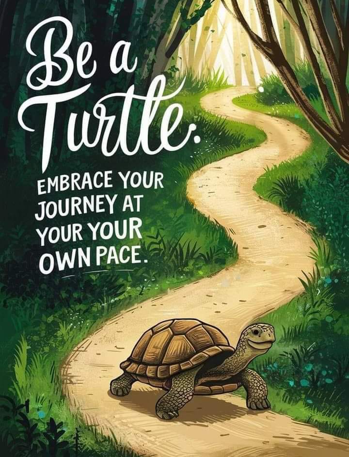 A_MasterMassage's tweet photo. 💙Quote of the Day💙
"Be a Turtle. Embrace your journey at your own pace."
#Quote #QuoteOfTheDay #BeATurtle #Turtle #TurtleLife #EmbraceYourJourney #YourJourney #MyJourney #NoRush #YourTime #MyTime #TakeYourTime #SlowDown #Paticence #NeverGiveUp #Motivation #Inspiration https://t.co/JbzSCoNnOm