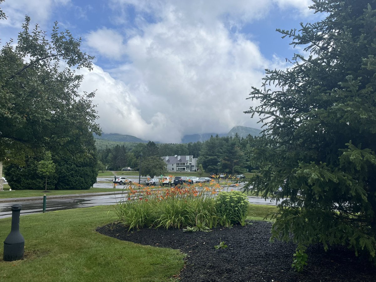 At Enzyme GRC, we anticipate top-notch plenary talks from field leaders. However, what took us by surprise was the caliber of short talks by young investigators. So cool, cutting-edge and electrifying! We were blown away. Join us 2025 at Waterville.