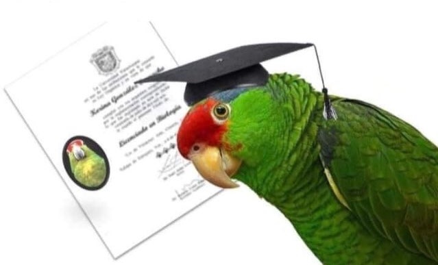 javierferreiraj tweet picture