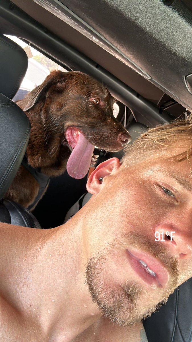 The love of my life, 🩶