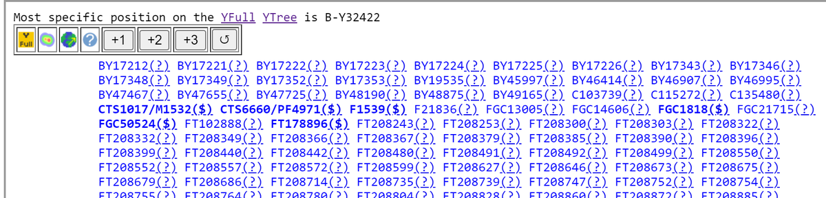 ظهرت نتيجة فحص عينة آل صايمة في مدينة حلب على الفرع النادر BY17160 من السلالة B وفق التالي:
B-M181>CTS1388>M182>M112>M8521>M192>M8498>M8500>M8362>BY17160

مُبارك لهم.