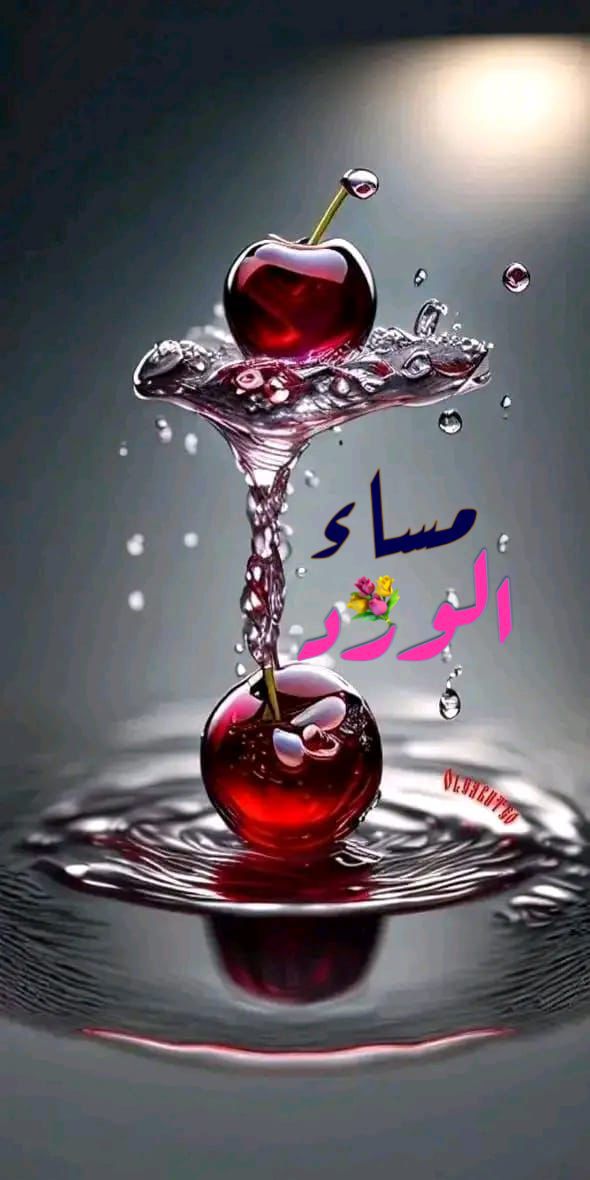 Ayaan tweet media