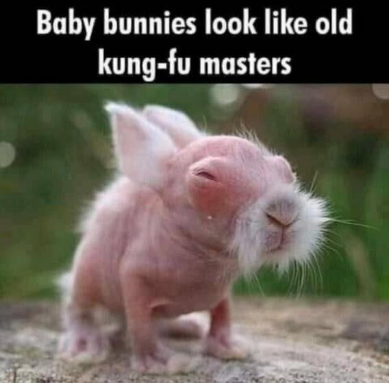 SpillTheMemes's tweet photo. True 🤣 https://t.co/4P0jsZaPSs