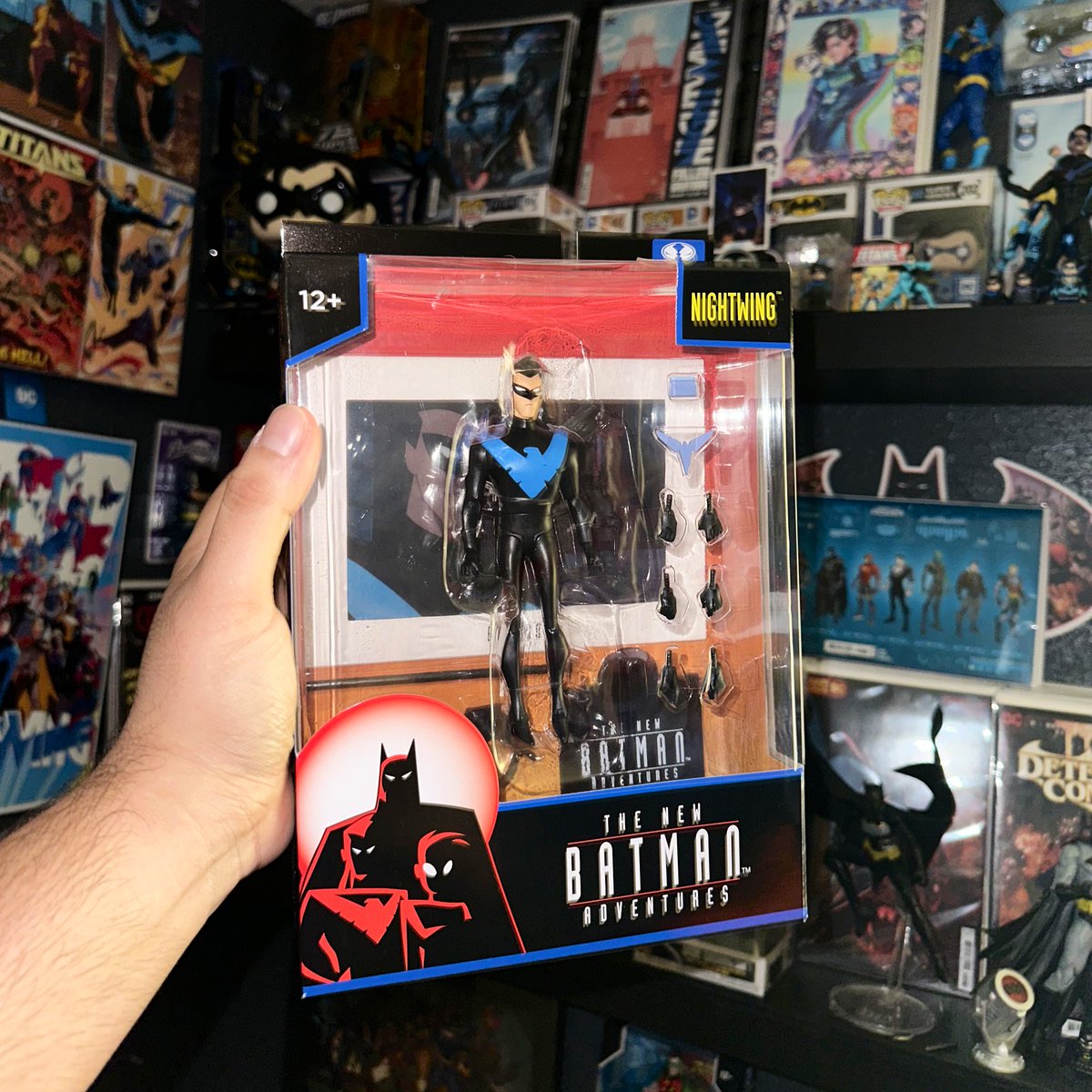 brownboydanny's tweet photo. These boys finally came in! My favorite brothers from different universes!
#Nightwing #TimDrakeRobin https://t.co/3zO96ROgiN