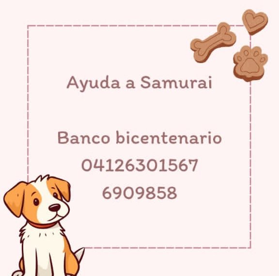 littlegugkie's tweet photo. AYUDEN A DIFUNDIR, POR FAVOR.

Necesitamos ayuda, este perrito fue herido durante las protestas. Aunque sean 10 bs serían de mucha ayuda.

No dejemos que ellos paguen por la crueldad humana https://t.co/pMkT1ZANvM
