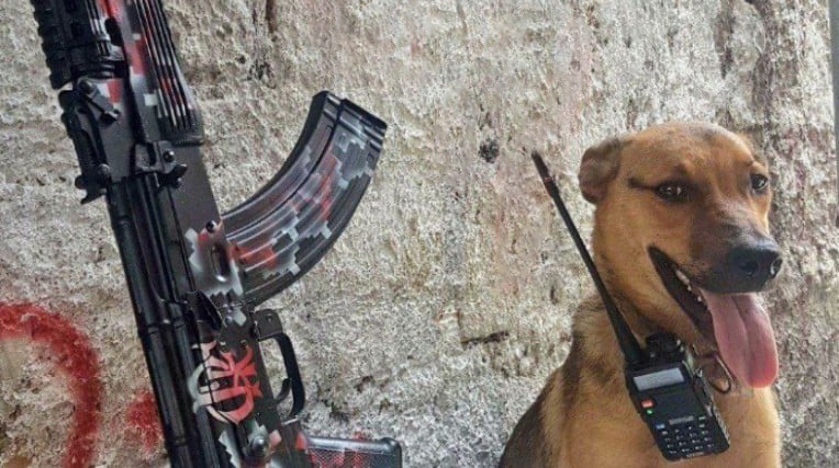 Stream online <a href="/FACEIT/">FACEIT</a> 🏆
Jogando FSL <a href="/FACEITBrasil/">FACEIT Brasil 🇧🇷</a>  
ttv/punifps • • 🎬 • • !dbclan