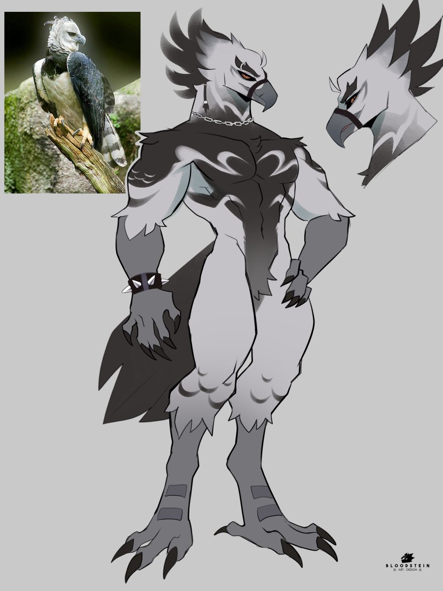 K_Bloodstein's tweet photo. character inspired from one of my favorite birds, the harpy eagle 🦅 https://t.co/AHXYhycuhd