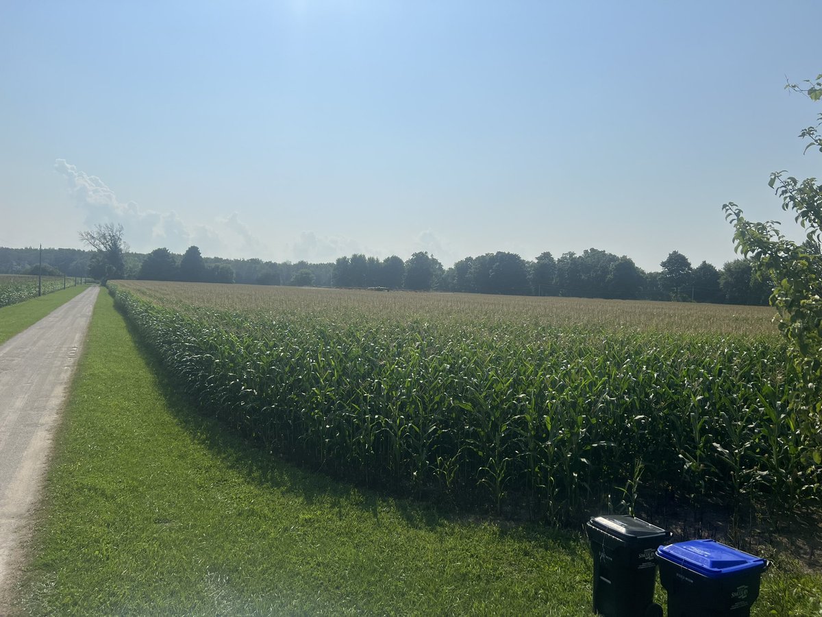 Graham Johnston tweet media