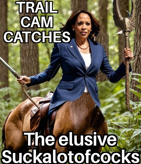 greybeard2374's tweet image. After years of sightings and rumors! 
A...👇 😂🤣🤣