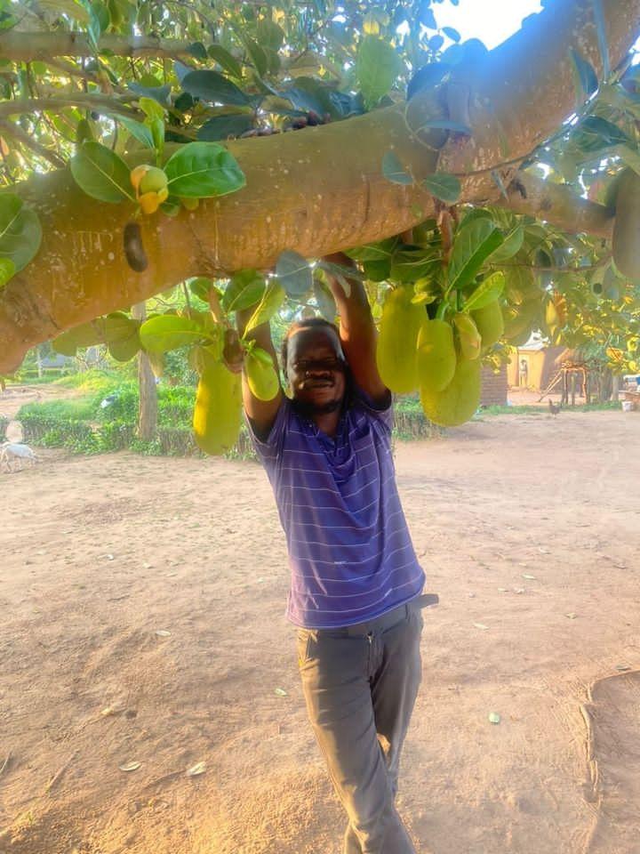 AwangBoi's tweet photo. Jackfruit in #magwi
#SSOX https://t.co/aItRI9kSCJ