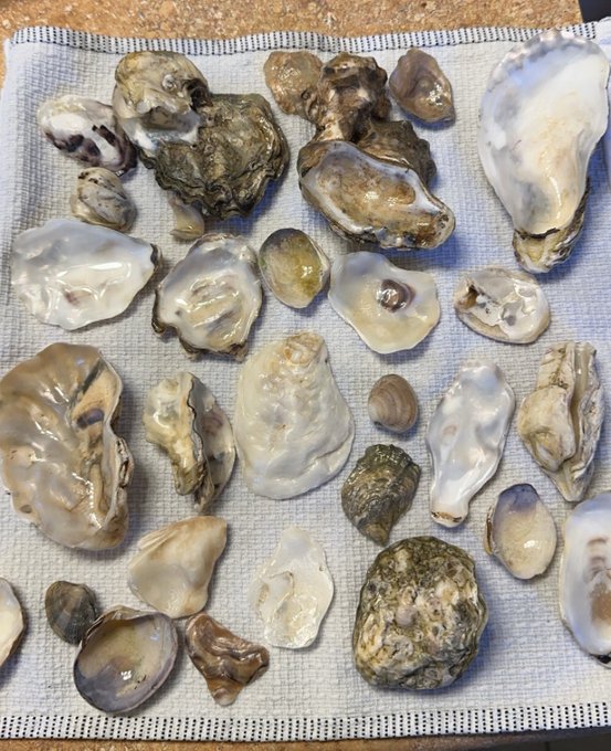I know the shellfish hate to see me comin https://t.co/4kTl5bzp8L
