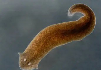 Mr B𓐊𓐊 Russell tweet media