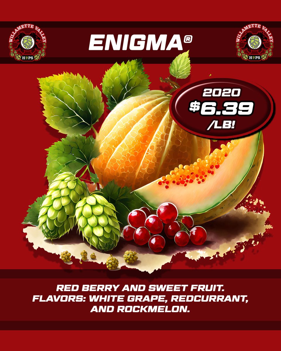 WVHops's tweet image. 2020 Enigma is only $6.39/lb! In stock and ready to ship. Contact your Territory Manager or purchase on Lupulin Exchange:
lupulinexchange.com/listings?q=wil…
#aussiehops #australianhops #enigmahops #hops #craftbeer #ipa #hazy #masterbrewers #brewersassociation #brewersofinstagram