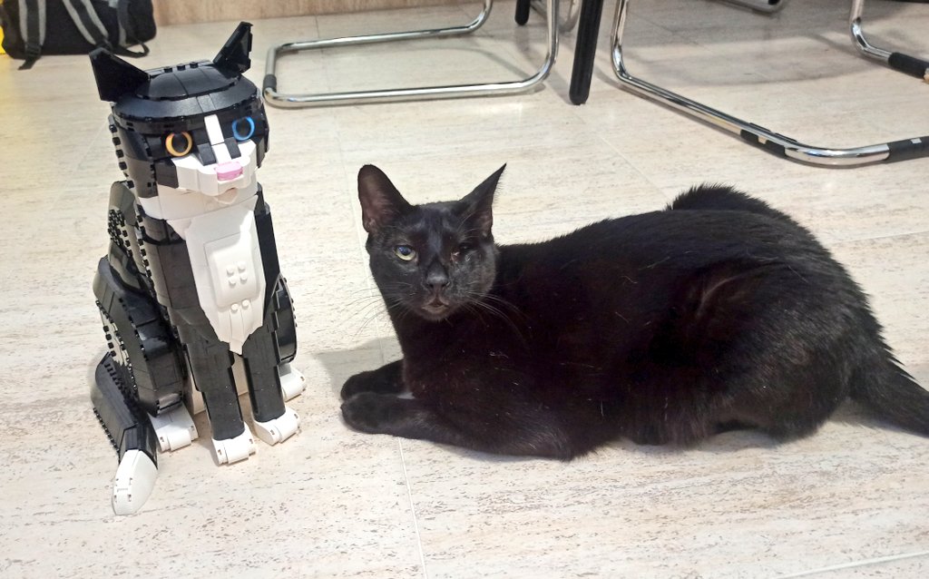 jadomsar's tweet photo. Sauron se ha enamorado @LEGO_Group https://t.co/vMF6uw1pOn