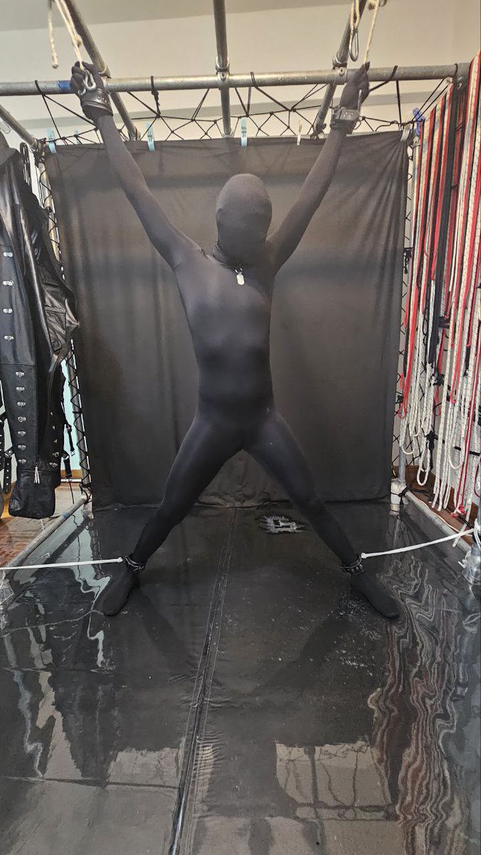 A black toy wandered into a den. What does fate have installed for him?

黑色玩具走進一間店，不知道會怎樣？