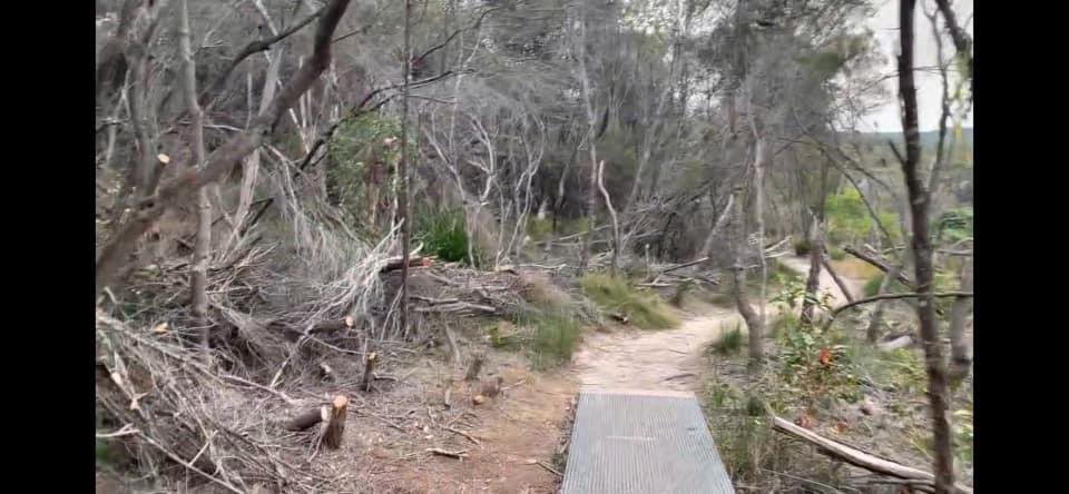 wildaboutsydney's tweet photo. @JessHarwoodArt @krgcouncil And @beachescouncil has recently ploughed through intact wildlife habitat at Manly Warringah War Memorial Park #ManlyDam #NorthernBeaches https://t.co/LkesGKqdlu