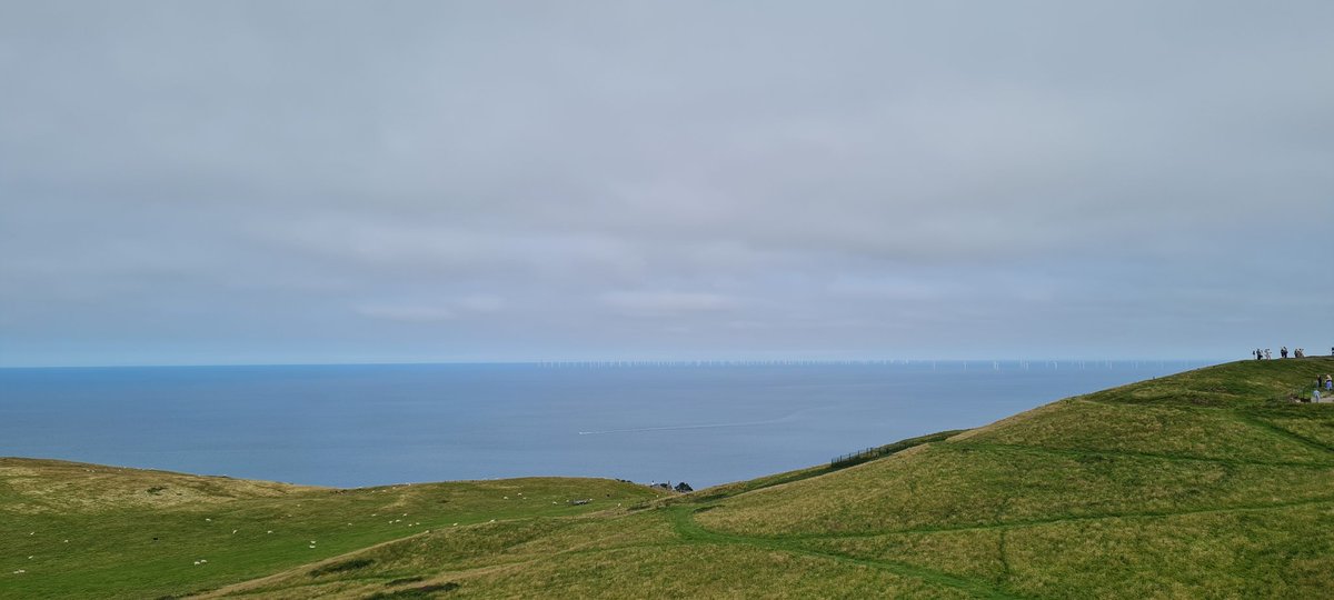 Not quite Snowden yet, building up to it.