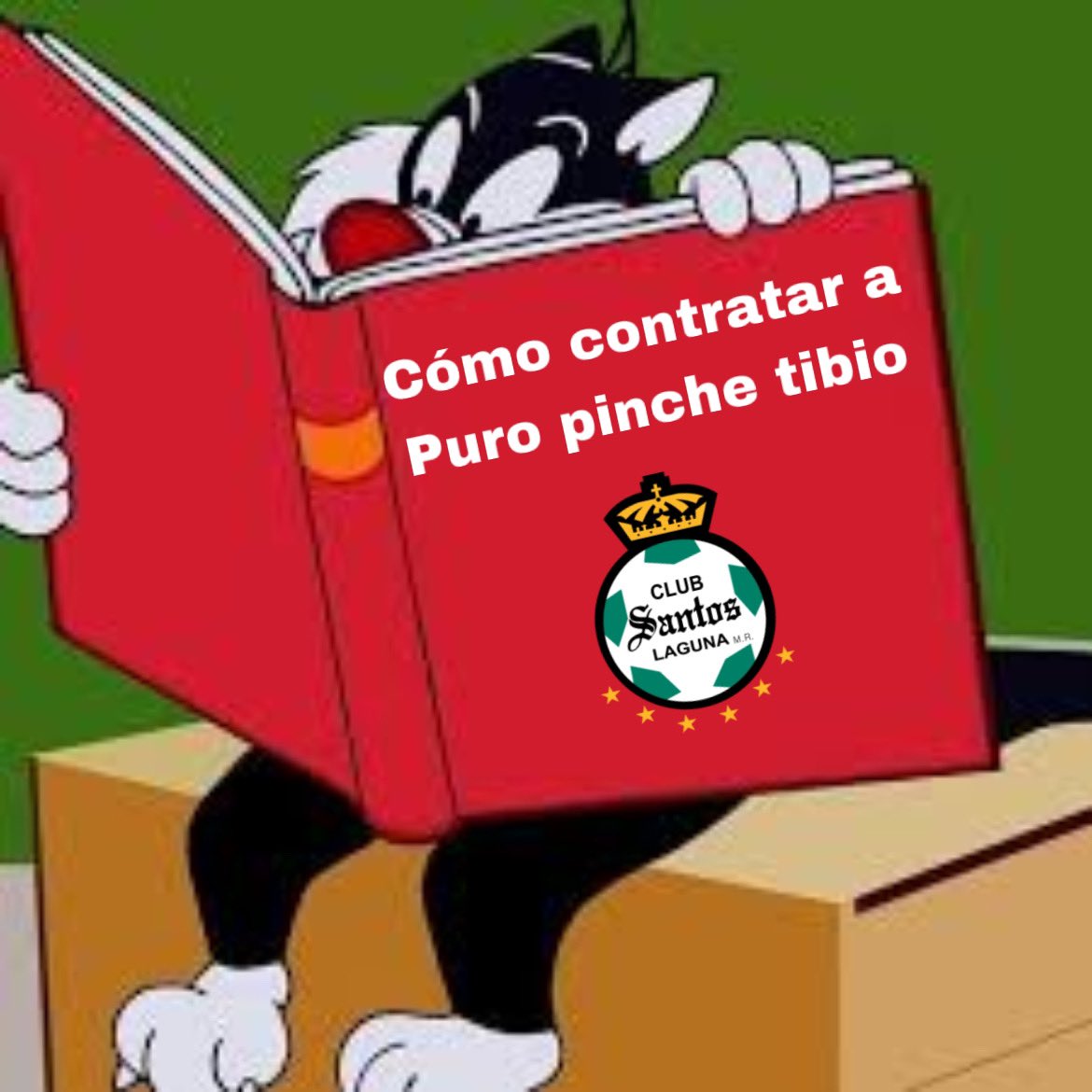 Manye Castil Rosell🇲🇽 tweet media