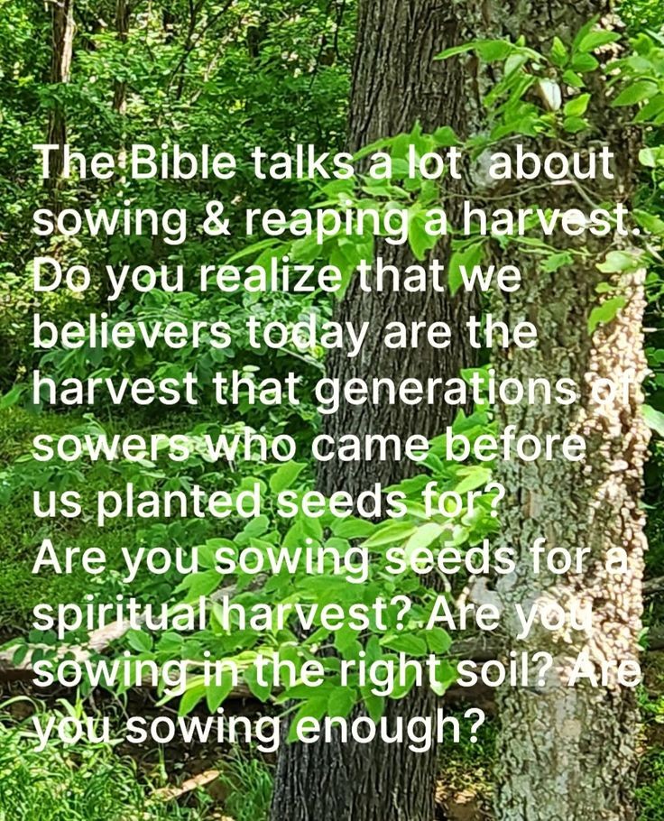 Letters4theLord's tweet photo. If you want to grow faith you need to cultivate it.
Get my #book Cultivating Faith today
https://t.co/gpCopYrAxr 

#WritingCommunity #indieauthor #Okiewriter #womenWriters #GoodReadsAuthors https://t.co/miyd7hmO0h