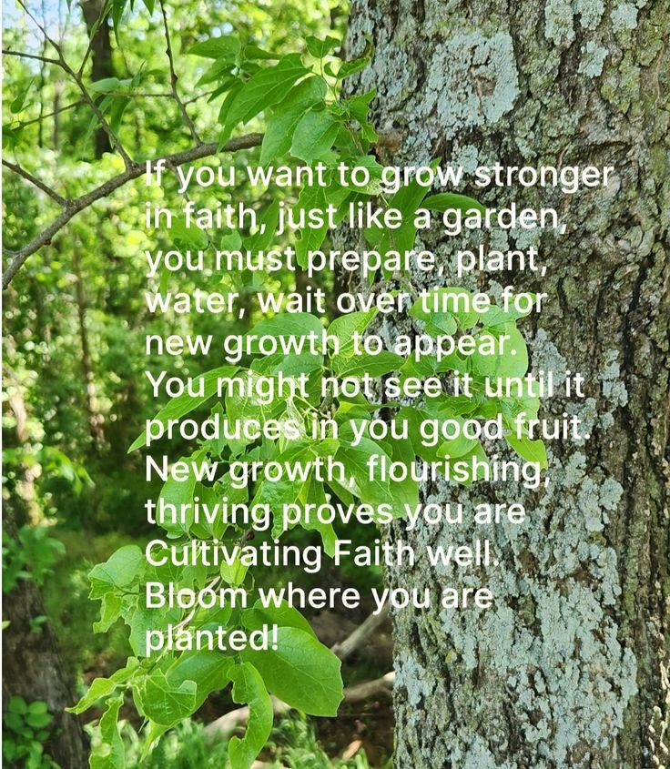 Letters4theLord's tweet photo. If you want to grow faith you need to cultivate it.
Get my #book Cultivating Faith today
https://t.co/gpCopYrAxr 

#WritingCommunity #indieauthor #Okiewriter #womenWriters #GoodReadsAuthors https://t.co/miyd7hmO0h