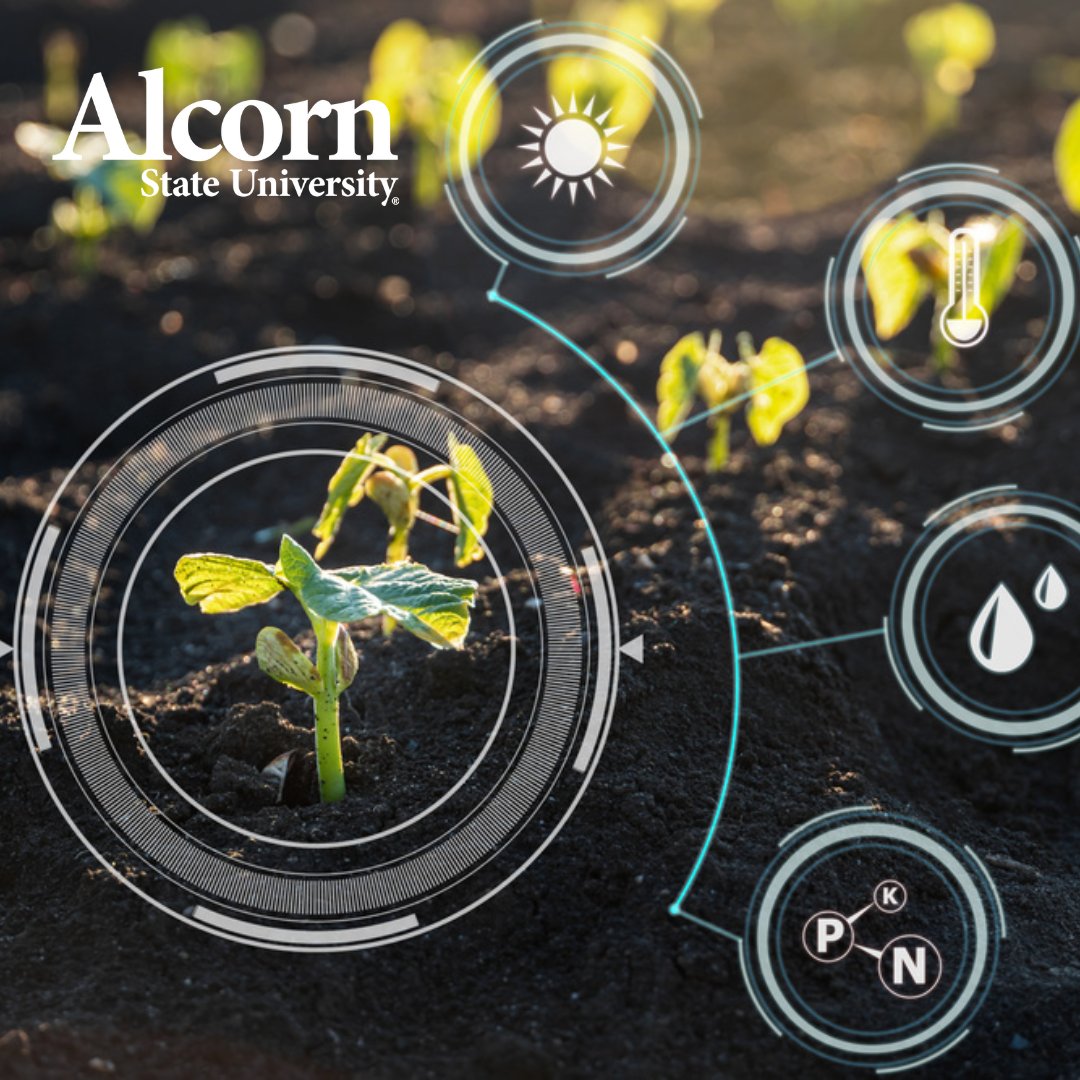 Alcorn State tweet media