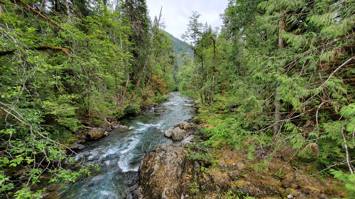 ZondaNature's tweet photo. Hamma Hamma River https://t.co/iEEOhe8rn3