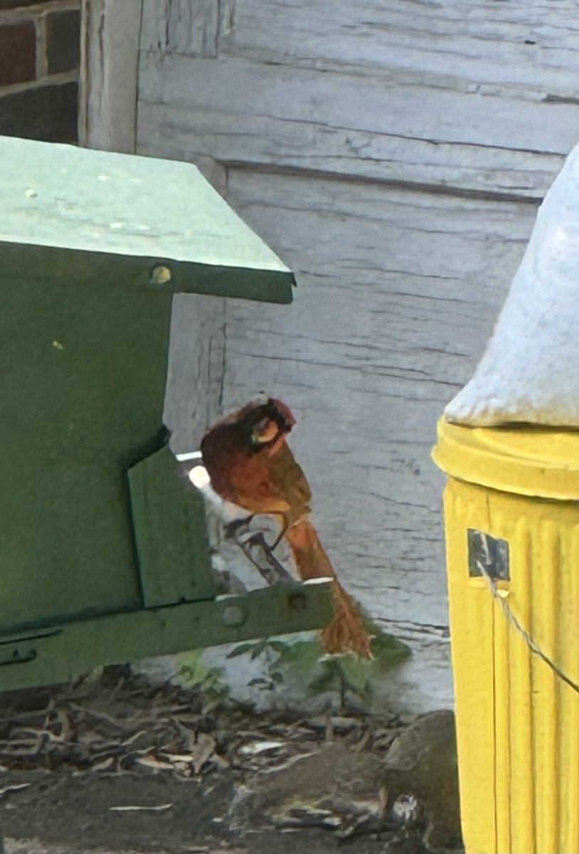 🚨 Albert stopped by!! 🚨