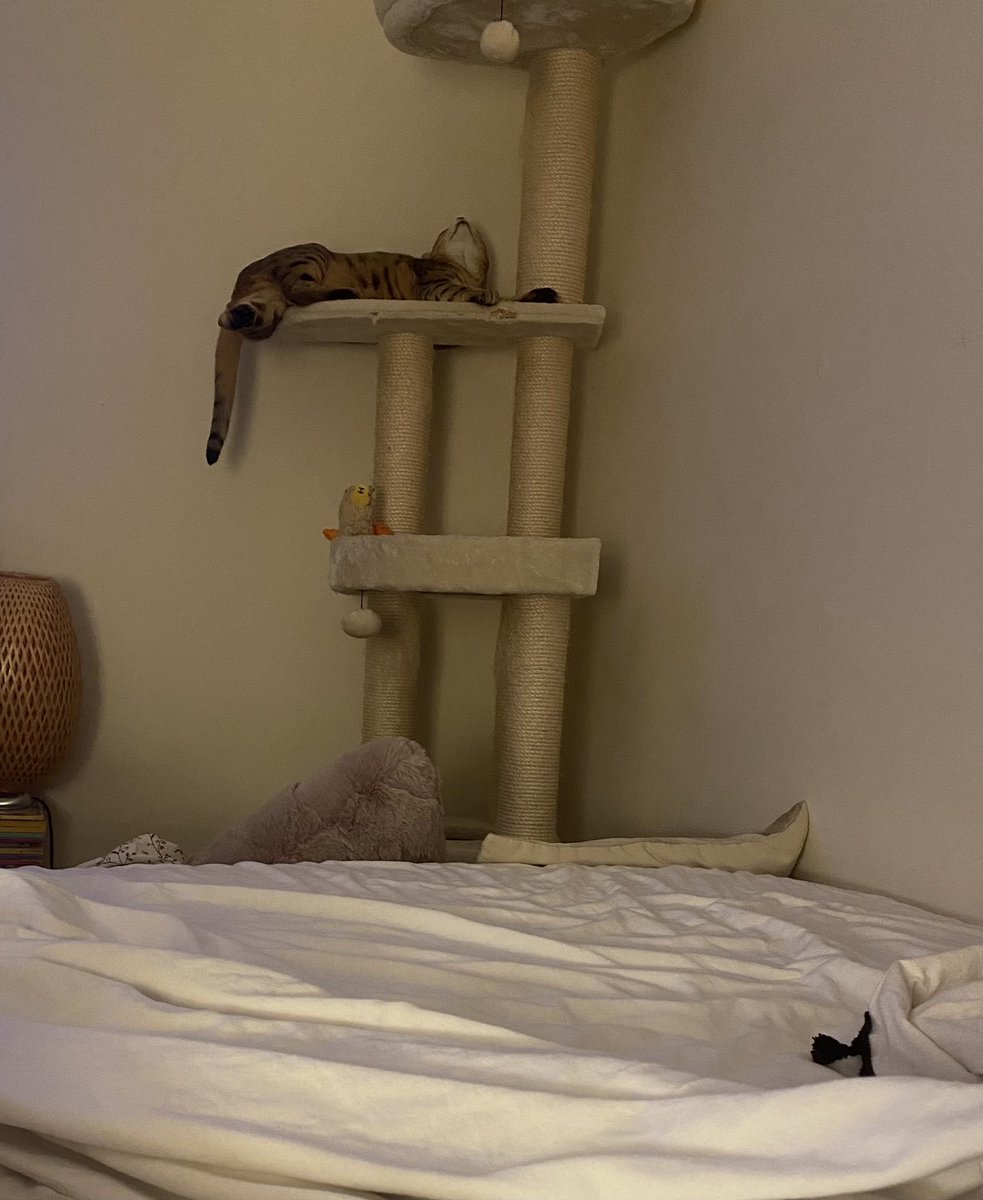 LoisAnyaFoster's tweet photo. Practise for the next Jaws audition https://t.co/Y8JH6DwPEu