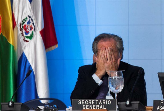 PUCHERITO 💬 tweet media