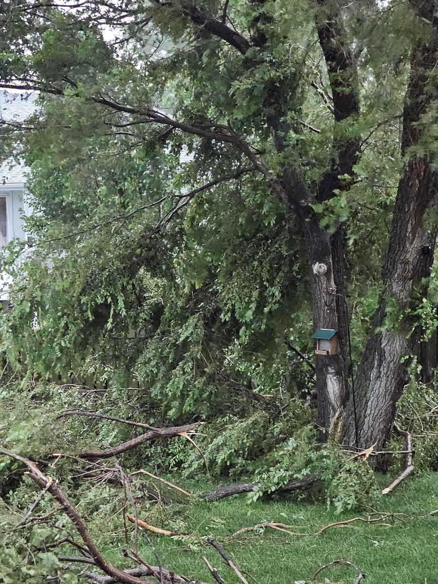 The Loneliest Storm Chaser Food tweet media