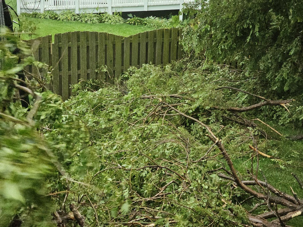 The Loneliest Storm Chaser Food tweet media