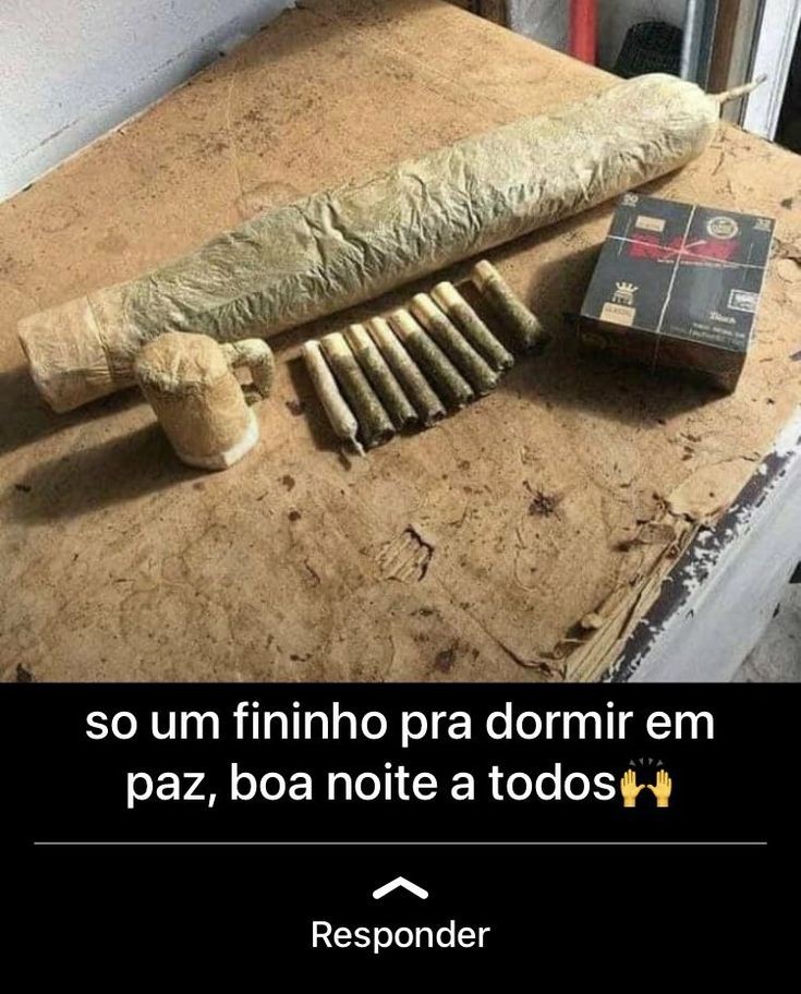 coisas burras ditas de forma inteligente (@burrosgeniais) on Twitter photo 