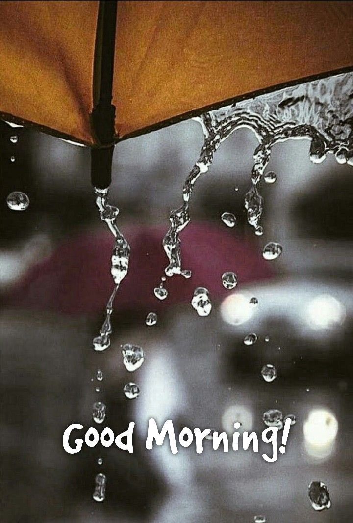 Бороотой өглөөний мэндээ