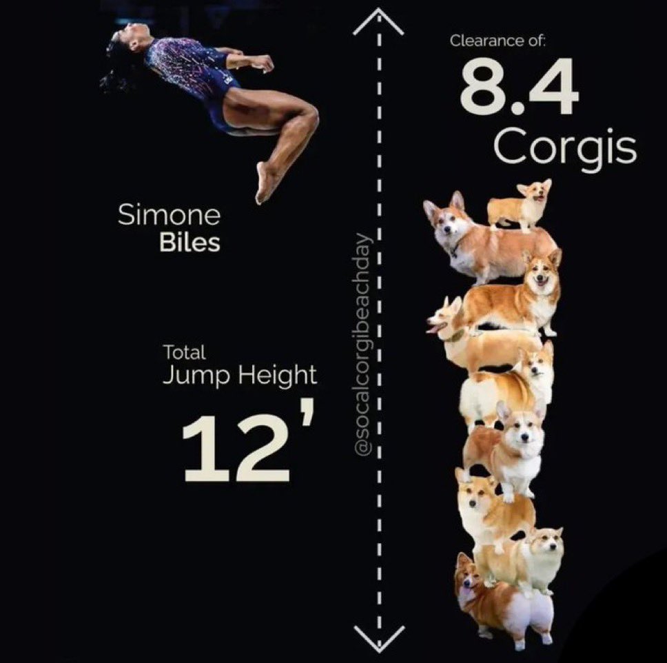 Corgis should be the official measurement of the Olympics
