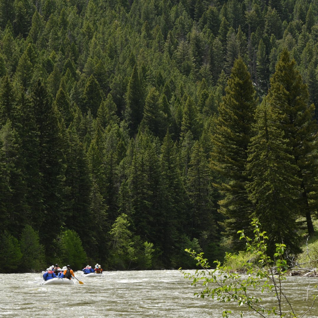 The heat these last few weeks has had an impact, not just on us, but on our land and water habitats. It's a reminder that our outdoor spaces need our love &amp; stewardship more than ever. Be mindful anglers, hikers, and campers this summer! 

explorebigsky.com/every-drop-cou…